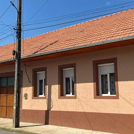 Pensiunea La Nety Bozovici Bagian luar foto